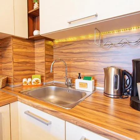 Domus Amber With Parking Lägenhet Plovdiv